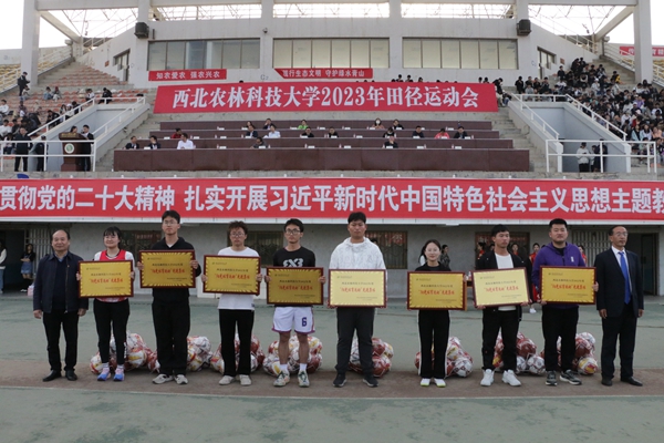 【2023校运会】喜报!性吧
连续6年荣获阳光体育运动先进单位